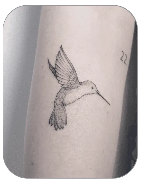 tatuaje de colibrí estilo Fineline hecho por Carla en the last gallery tattoo studio Mollet del Vallès, Barcelona, tatuaje femenino y fino