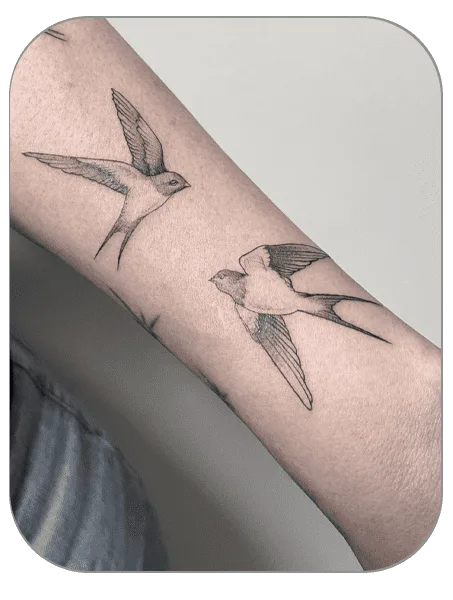 tatuaje golondrinas estilo Fineline hecho por Carla en the last gallery tattoo studio Mollet del Vallès, Barcelona, tatuaje femenino y fino