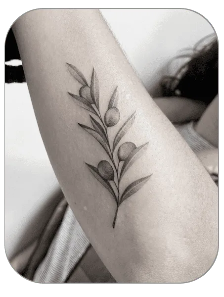 tatuaje ramita de olivo estilo Fineline hecho por Carla en the last gallery tattoo studio Mollet del Vallès, Barcelona, tatuaje femenino y fino