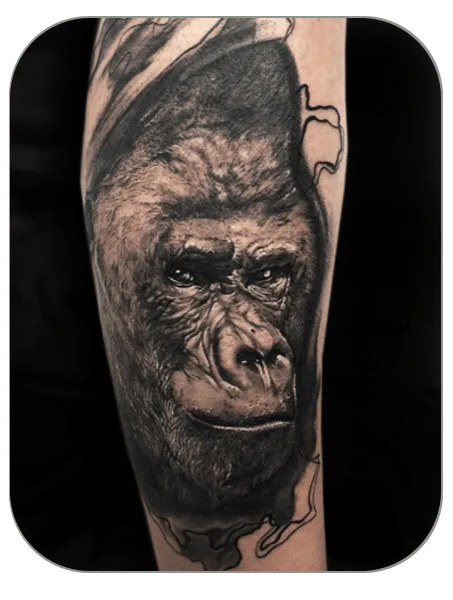 tatuaje de gorila en brazo hecho por Noe en The last gallery tattoo studio en Mollet del Vallés , Barcelona